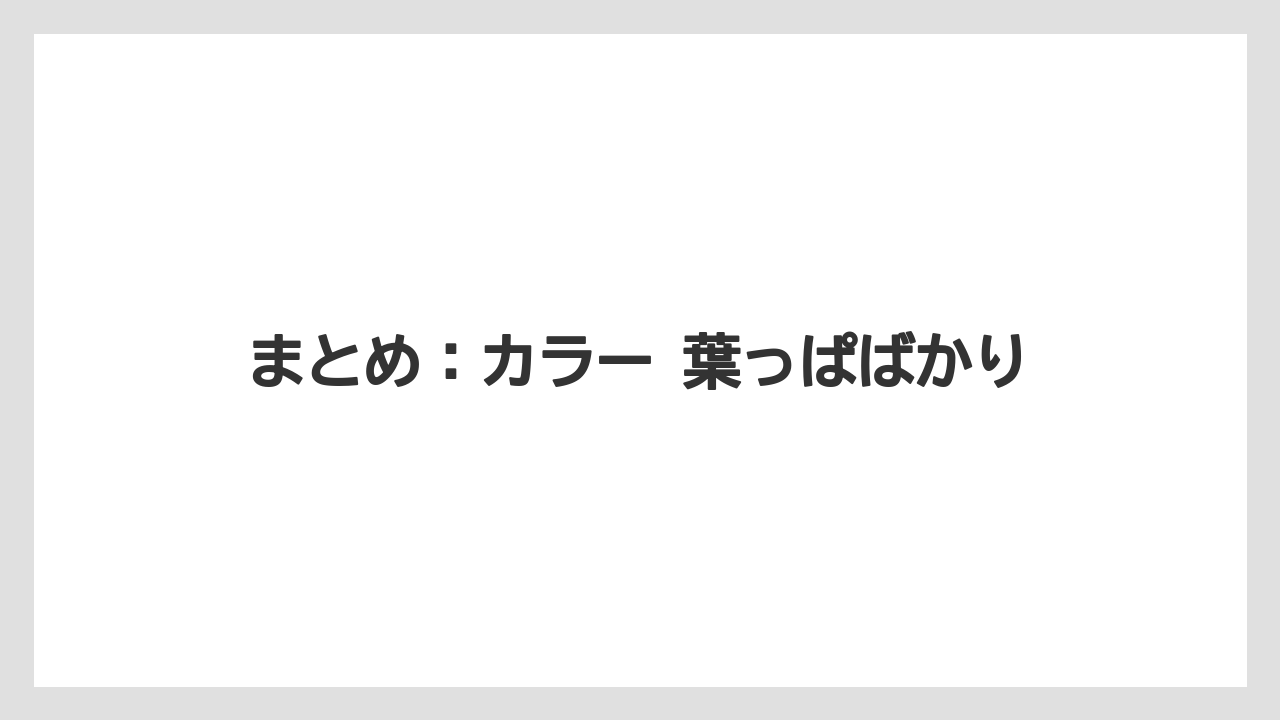 【栽培】【花】【葉】まとめ：カラー 葉っぱばかり
