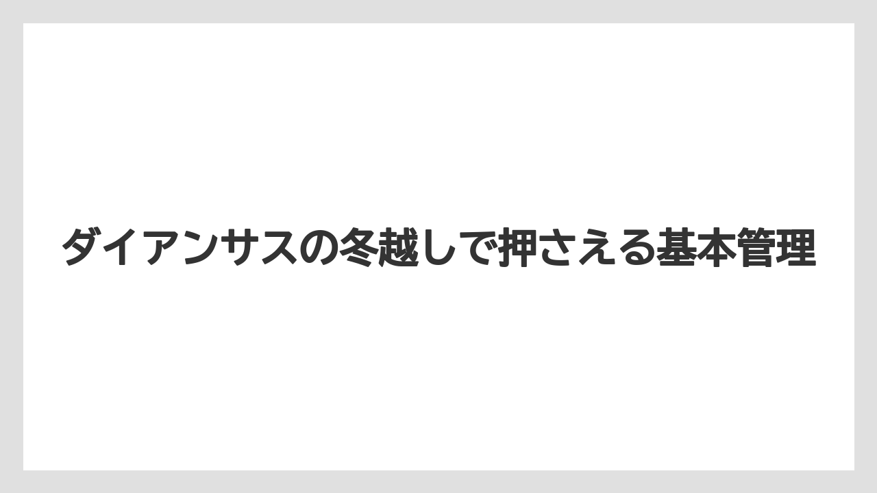 ダイアンサスの冬越しで押さえる基本管理