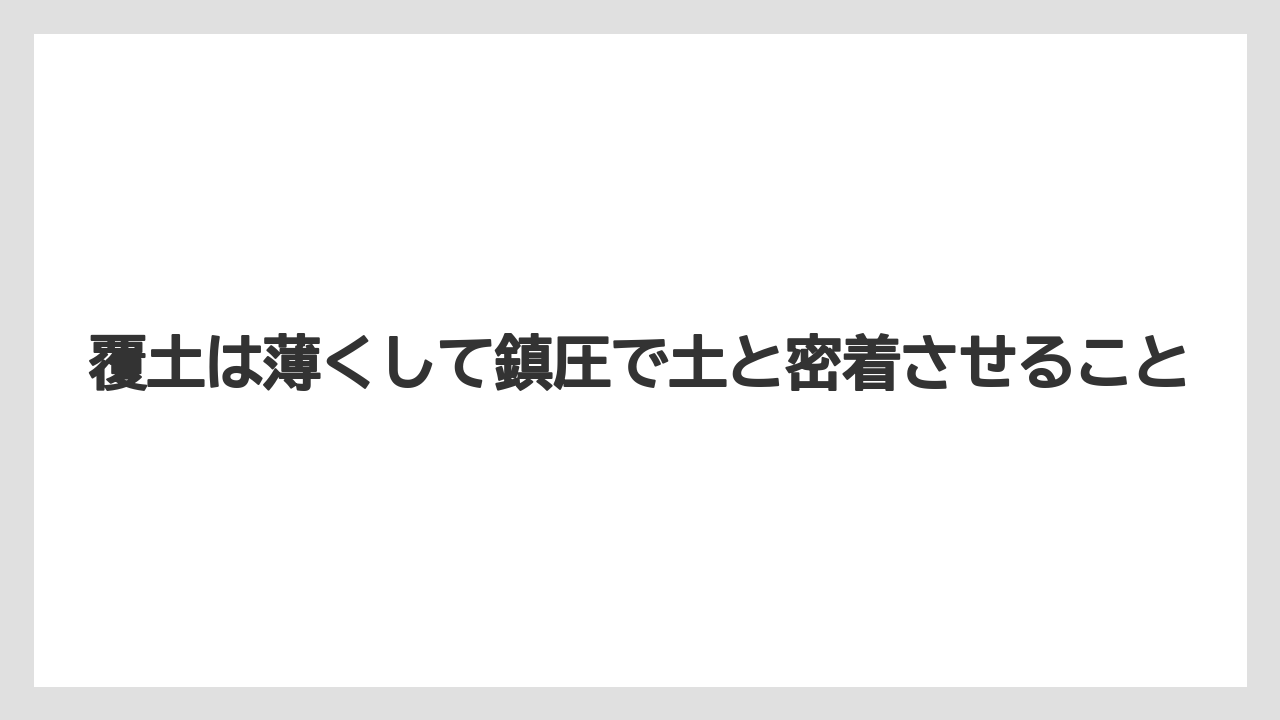 【栽培】【農園】【農業】覆土は薄くして鎮圧で土と密着させること