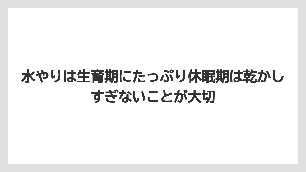 【栽培】【農園】【農業】水やりは生育期にたっぷり休眠期は乾かしすぎないことが大切