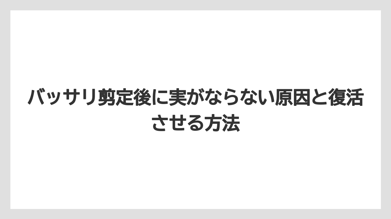 【栽培】【農園】【農業】バッサリ剪定後に実がならない原因と復活させる方法