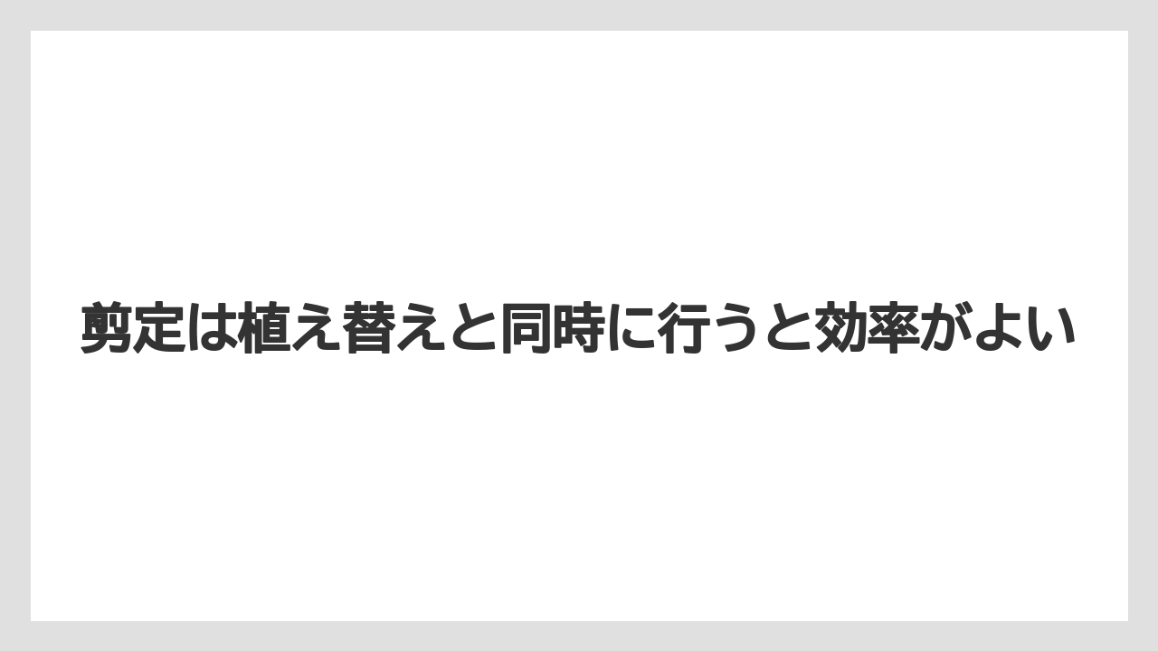 【栽培】【植え】【農業】剪定は植え替えと同時に行うと効率がよい
