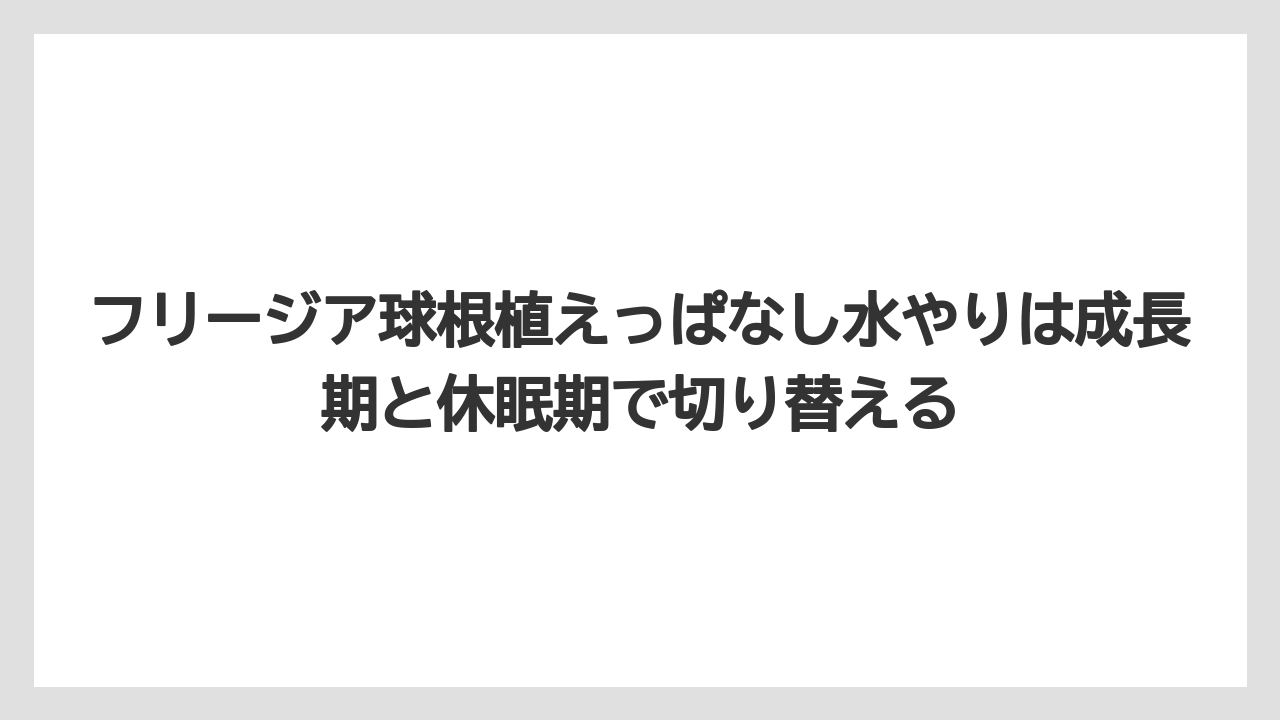 【栽培】【農園】【農業】フリージア球根植えっぱなし水やりは成長期と休眠期で切り替える