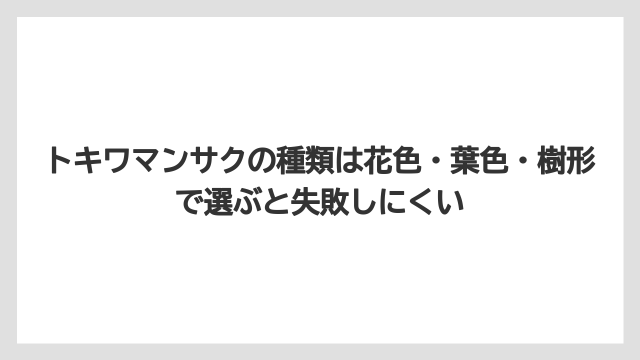 【栽培】【農園】【農業】トキワマンサクの種類は花色・葉色・樹形で選ぶと失敗しにくい