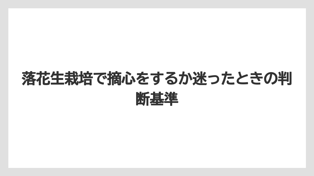 落花生栽培で摘心をするか迷ったときの判断基準