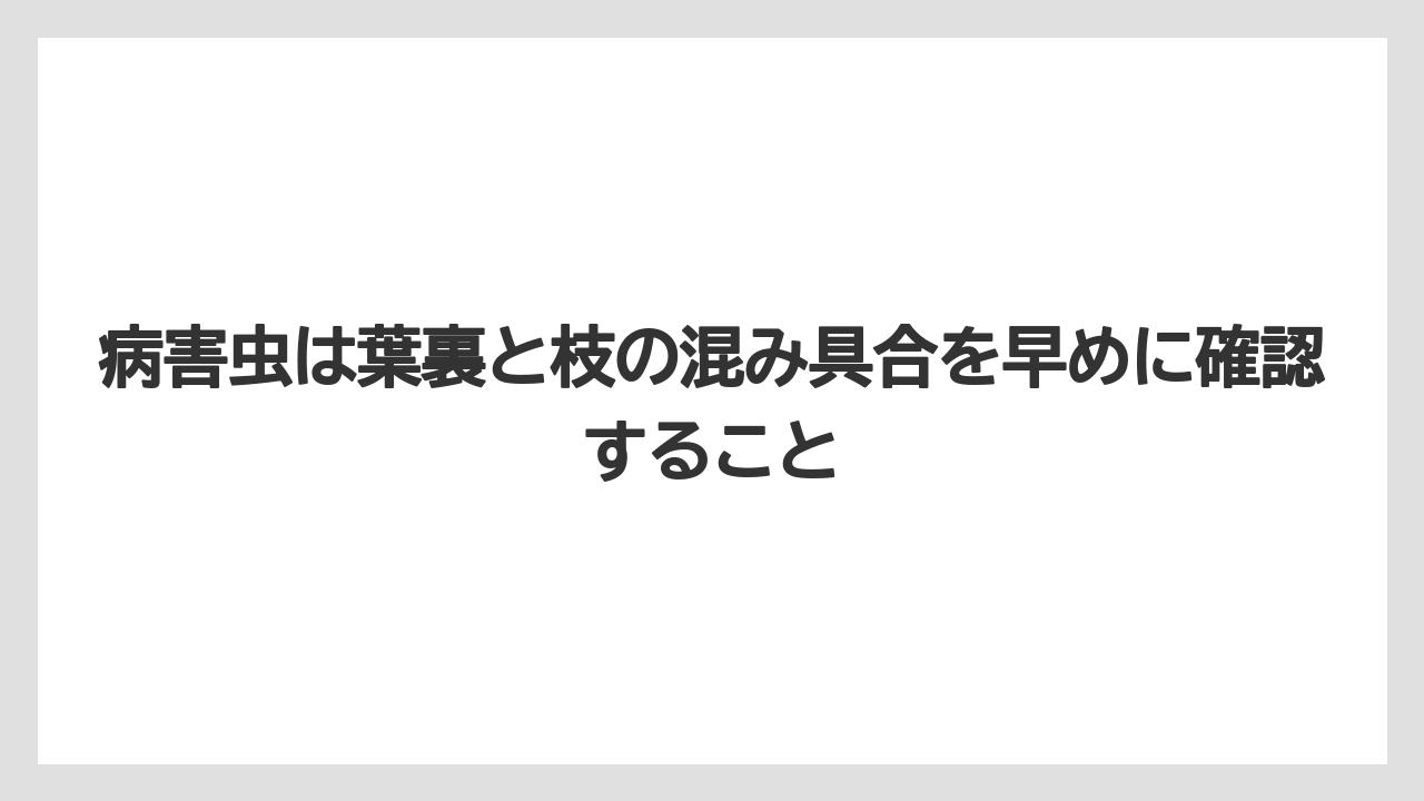 【栽培】【農園】【農業】病害虫は葉裏と枝の混み具合を早めに確認すること