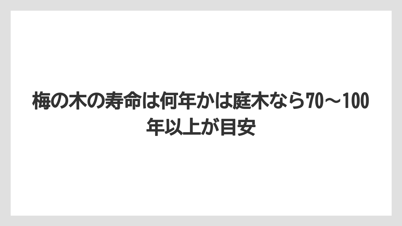 【栽培】【肥料】【農園】【農業】梅の木の寿命は何年かは庭木なら70〜100年以上が目安