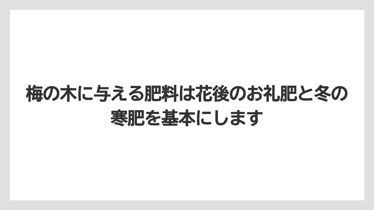 梅の木に与える肥料は花後のお礼肥と冬の寒肥を基本にします