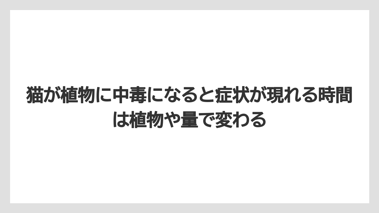 【しそ】【モンステラ】【栽培】【猫】【猫草】猫が植物に中毒になると症状が現れる時間は植物や量で変わる