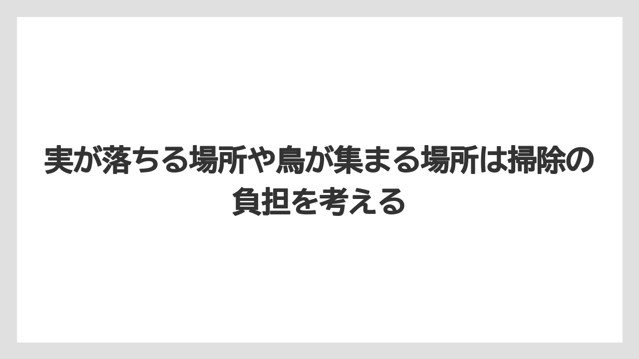 【栽培】【農園】【農業】実が落ちる場所や鳥が集まる場所は掃除の負担を考える