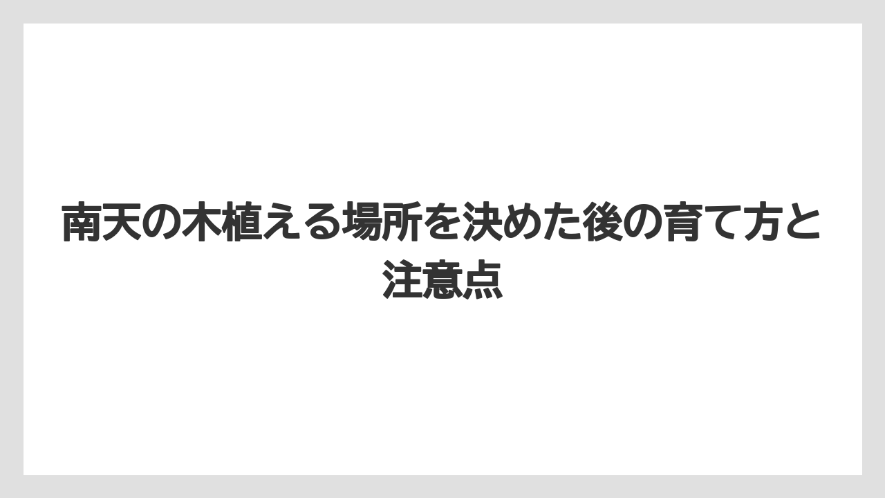 【栽培】【農園】【農業】地植えするなら将来の高さと横幅を見込んで余裕を取る