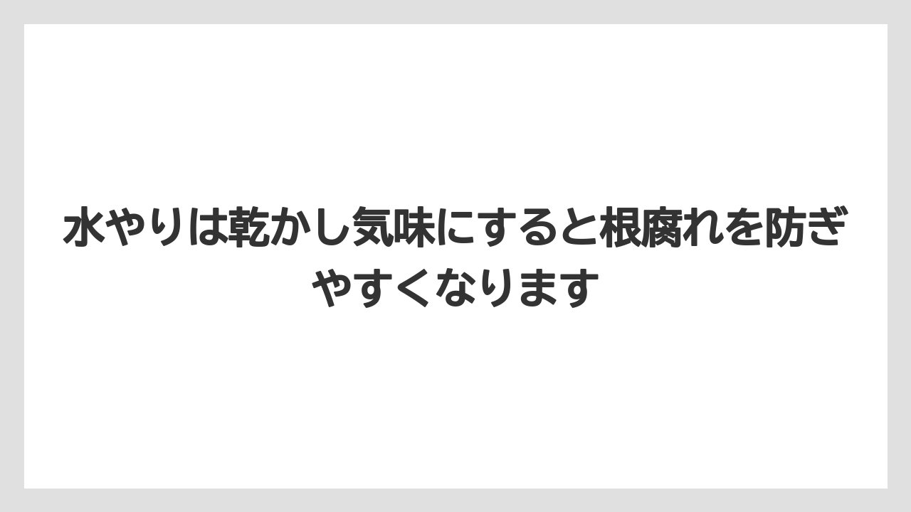 【栽培】【農園】【農業】水やりは乾かし気味にすると根腐れを防ぎやすくなります