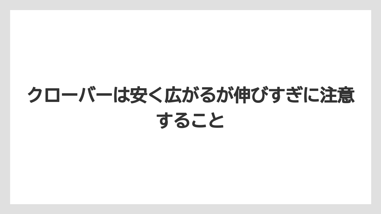 【栽培】【農園】【農業】クローバーは安く広がるが伸びすぎに注意すること