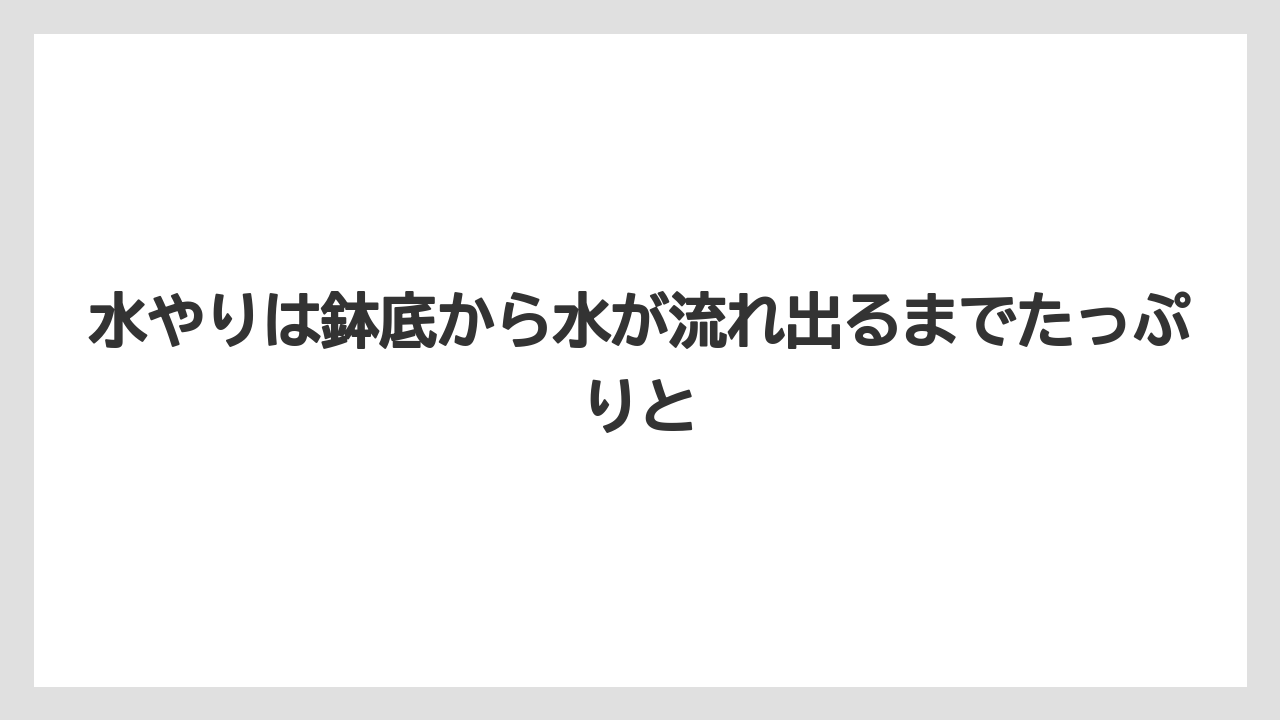 【栽培】【植え】【農業】水やりは鉢底から水が流れ出るまでたっぷりと