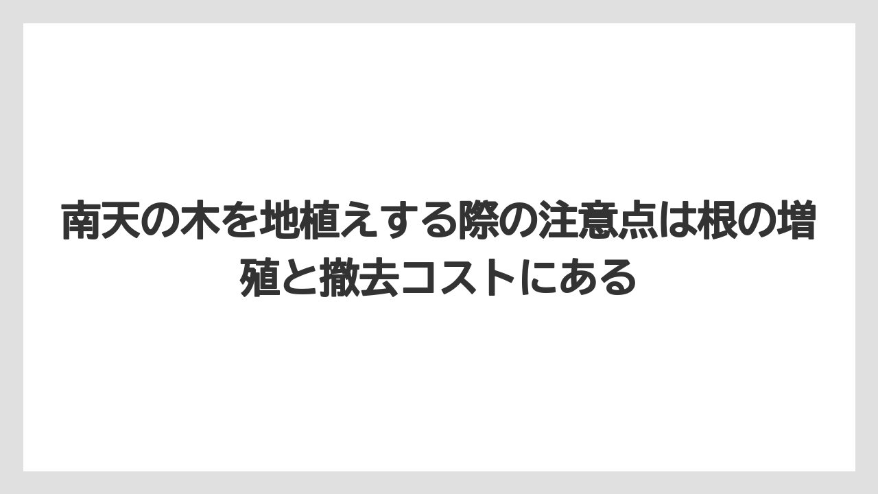【栽培】【農園】【農業】南天の木を地植えする際の注意点は根の増殖と撤去コストにある