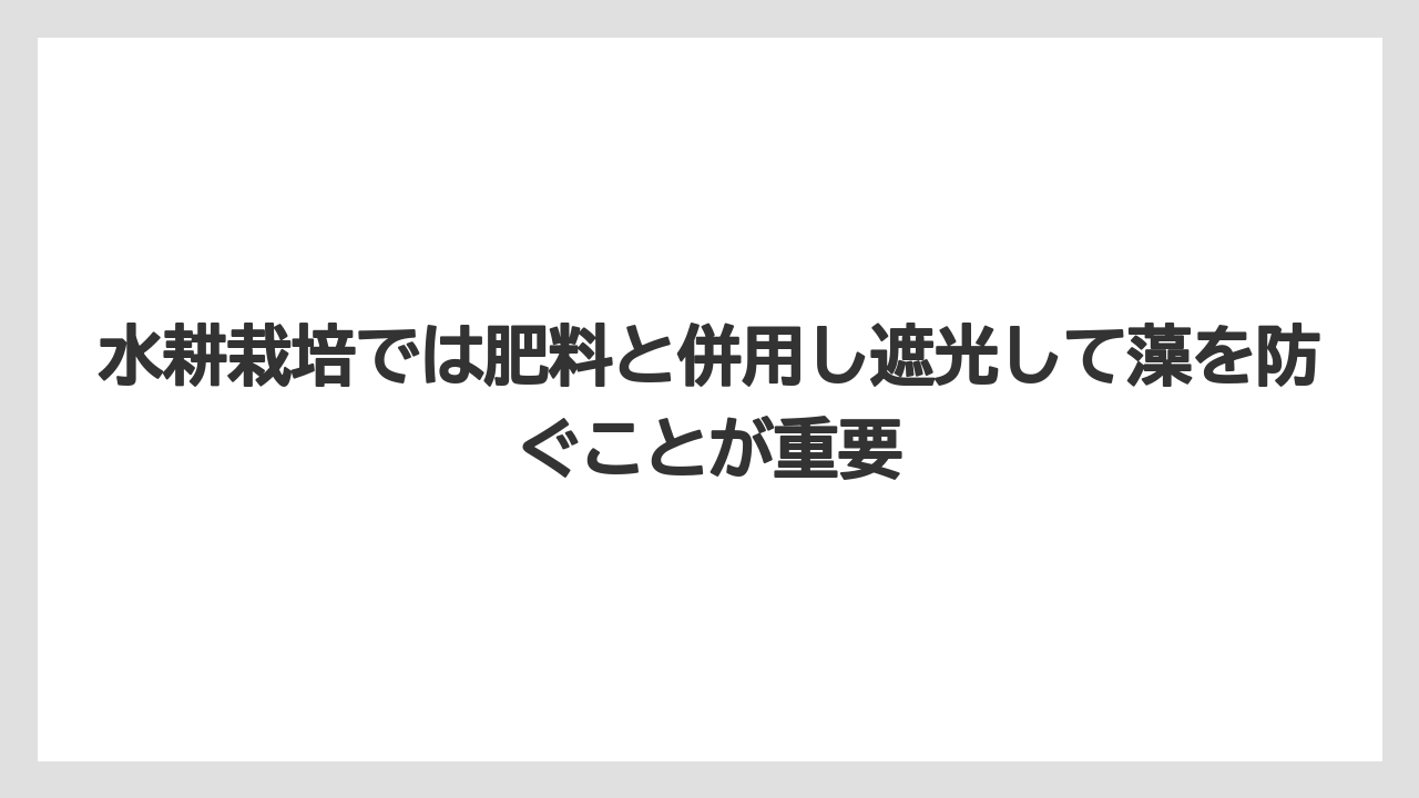 【メネデール】【栽培】【農業】水耕栽培では肥料と併用し遮光して藻を防ぐことが重要