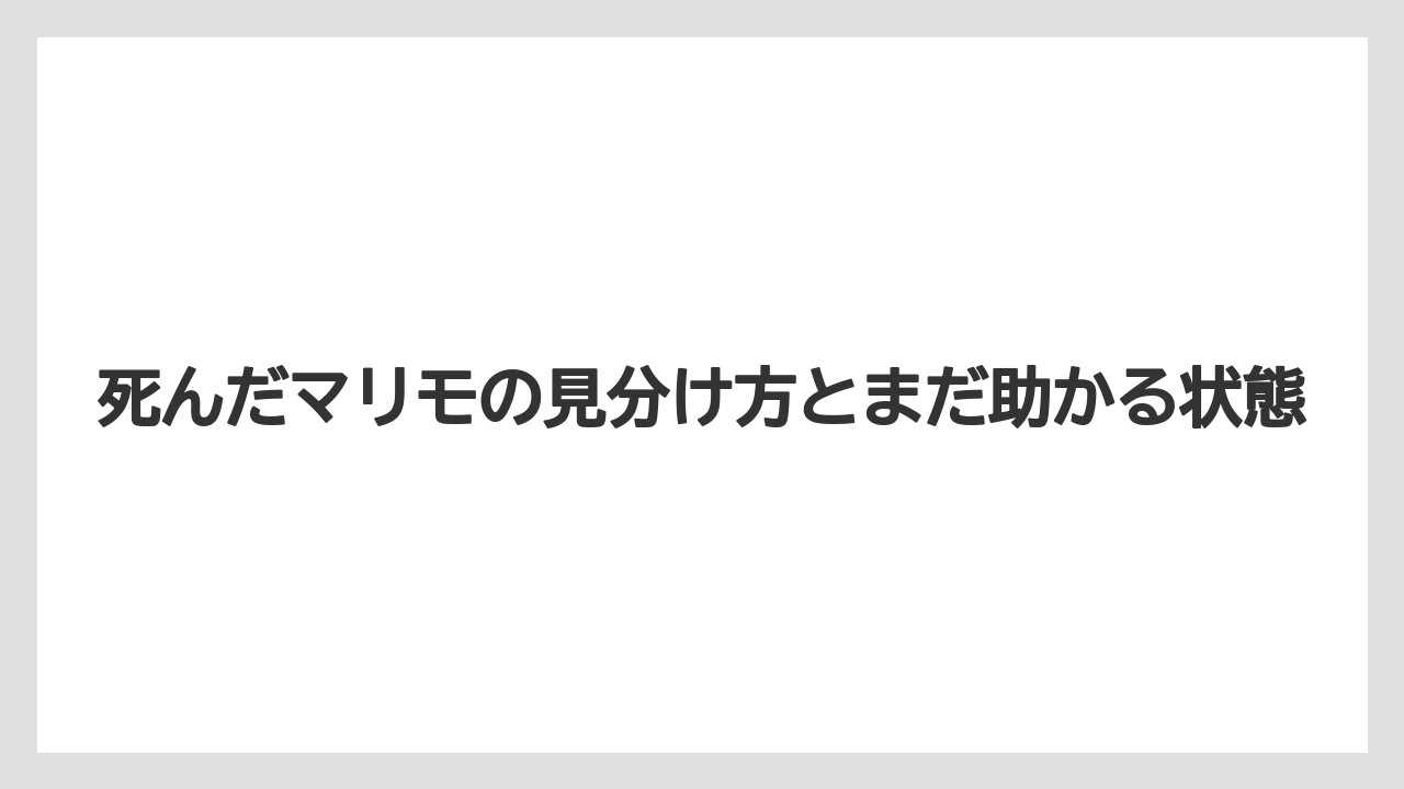 死んだマリモの見分け方とまだ助かる状態