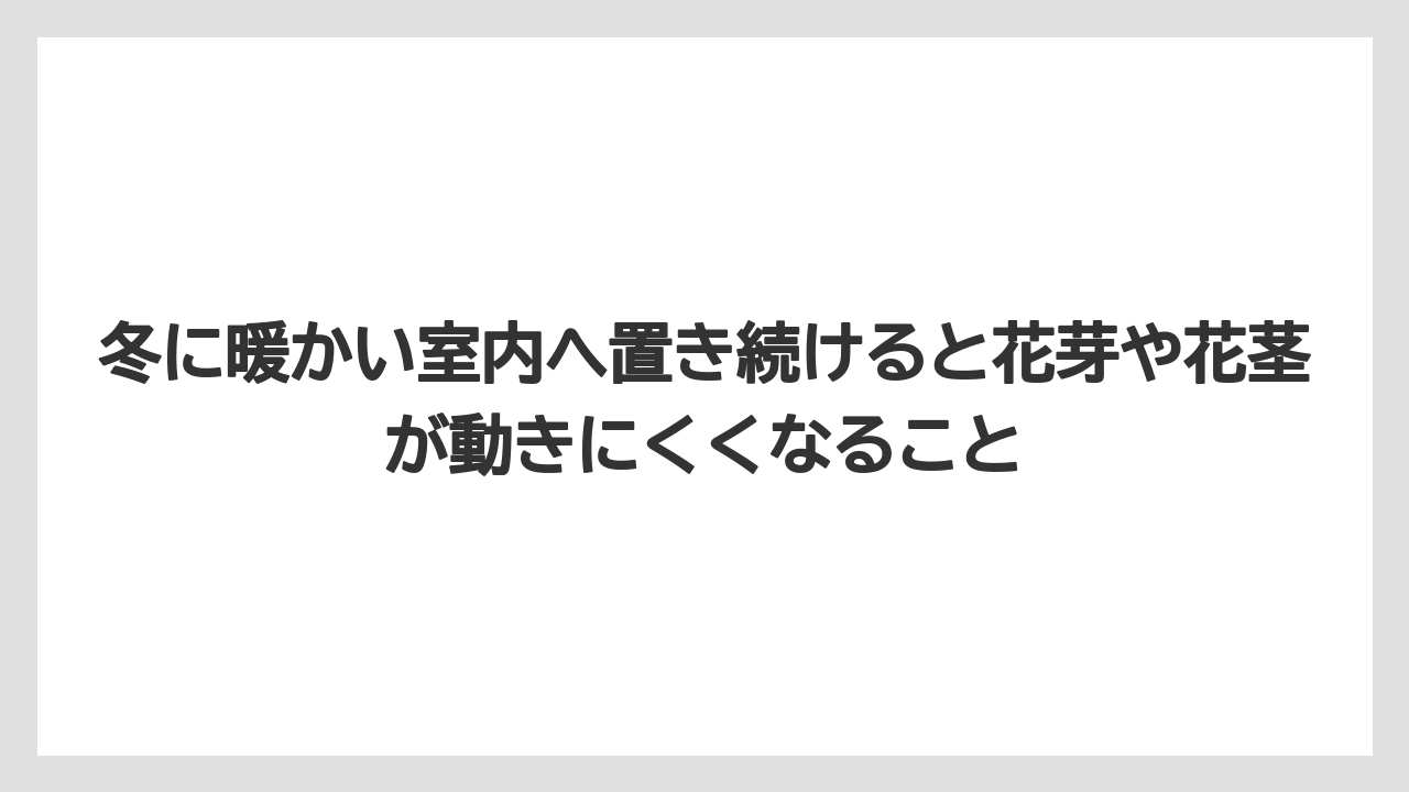 【栽培】【花】【農業】冬に暖かい室内へ置き続けると花芽や花茎が動きにくくなること