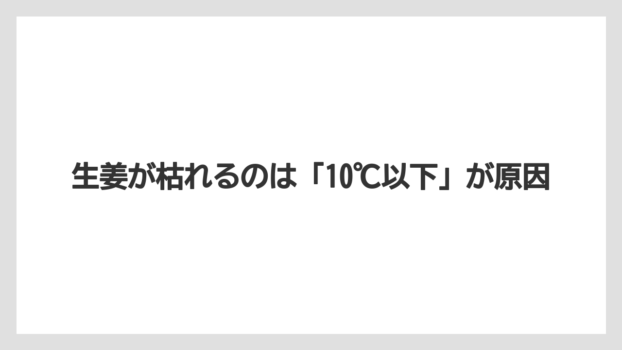 【栽培】【植え】【農業】生姜が枯れるのは「10℃以下」が原因
