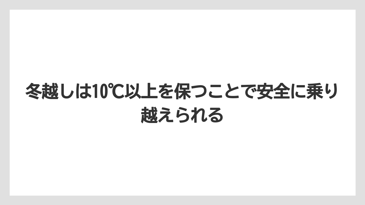 【サンスベリア】【栽培】【農業】冬越しは10℃以上を保つことで安全に乗り越えられる