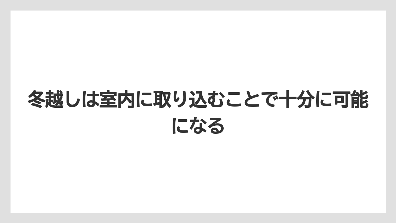 【いけない】【バジル】【後悔】【植え】【育て方】冬越しは室内に取り込むことで十分に可能になる