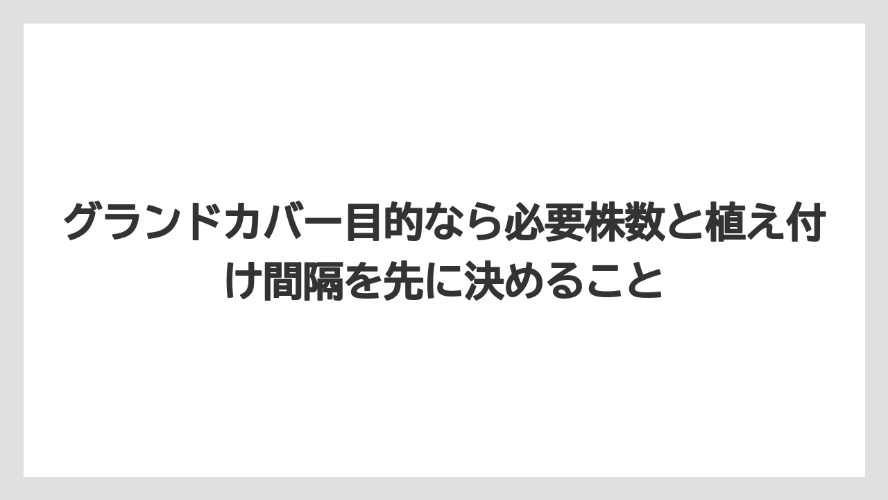 【栽培】【農園】【農業】グランドカバー目的なら必要株数と植え付け間隔を先に決めること