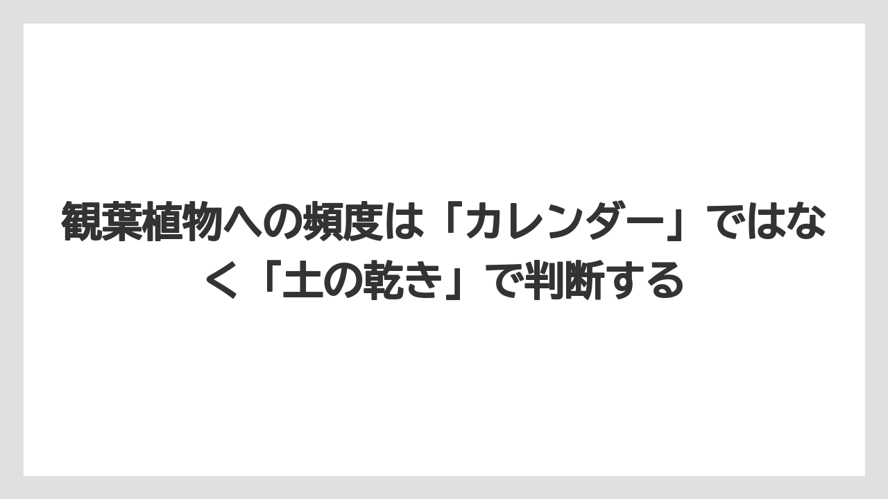 【サボテン】【トマト】【バラ】【リキダス】【栽培】観葉植物への頻度は「カレンダー」ではなく「土の乾き」で判断する