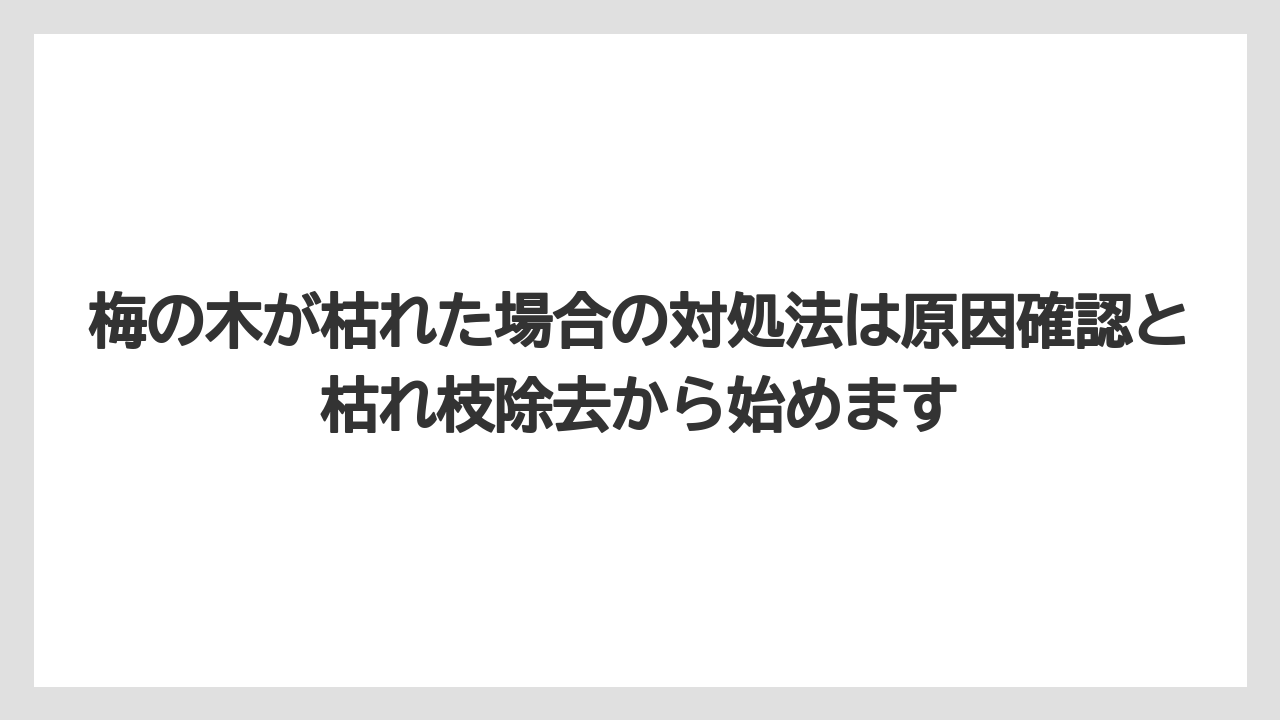 梅の木が枯れた場合の対処法は原因確認と枯れ枝除去から始めます