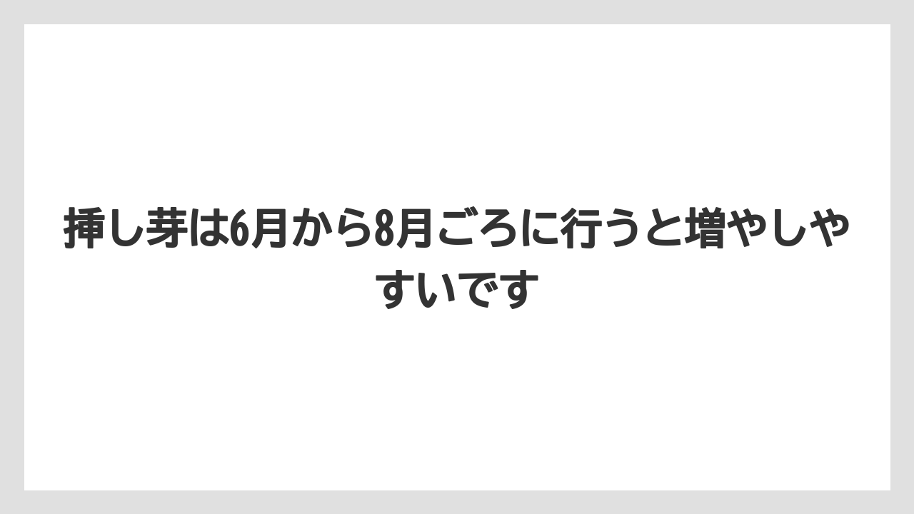 【栽培】【農園】【農業】挿し芽は6月から8月ごろに行うと増やしやすいです