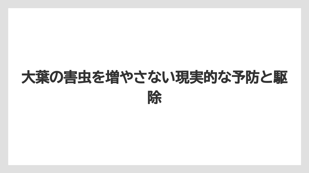 【コーヒー】【大葉】【栽培】【肥料】【農業】大きな穴が急に増えるならバッタとハモグリバエを分けて見ること