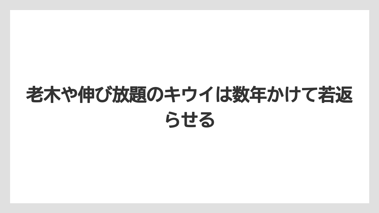 【バラ】【栽培】【農業】老木や伸び放題のキウイは数年かけて若返らせる