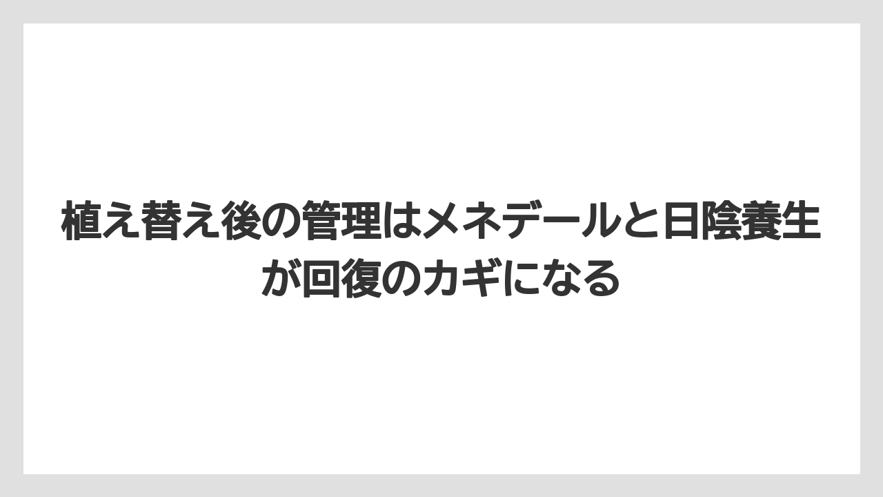 【栽培】【植物】【観葉】【鉢】植え替え後の管理はメネデールと日陰養生が回復のカギになる