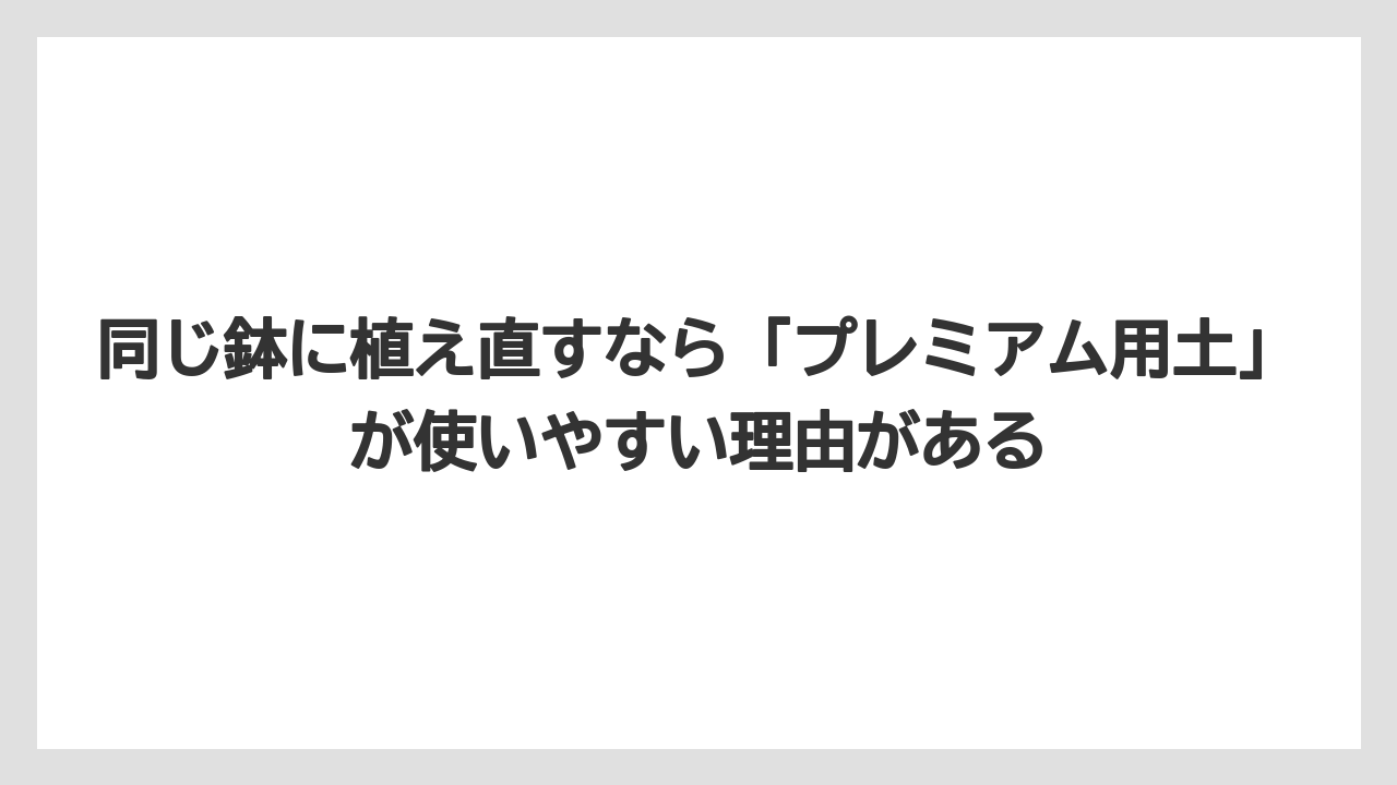 【栽培】【植物】【観葉】【鉢】同じ鉢に植え直すなら「プレミアム用土」が使いやすい理由がある