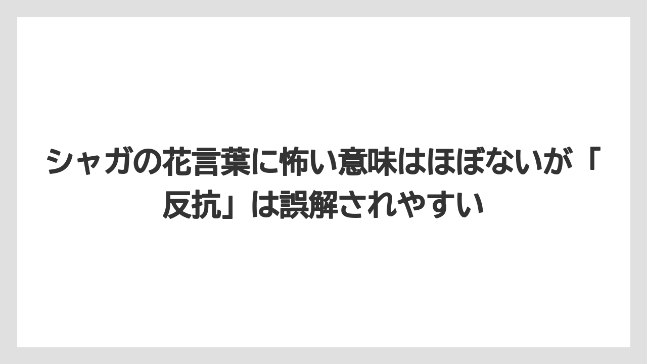 【栽培】【花】【葉】シャガの花言葉に怖い意味はほぼないが「反抗」は誤解されやすい