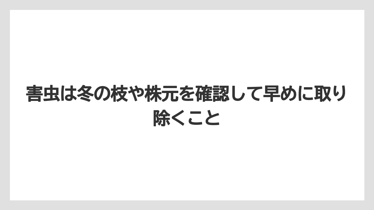 【栽培】【農園】【農業】害虫は冬の枝や株元を確認して早めに取り除くこと