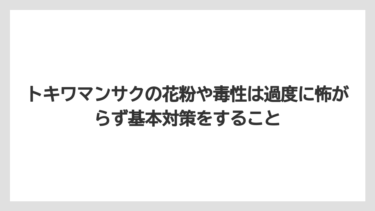 【栽培】【農園】【農業】トキワマンサクの花粉や毒性は過度に怖がらず基本対策をすること