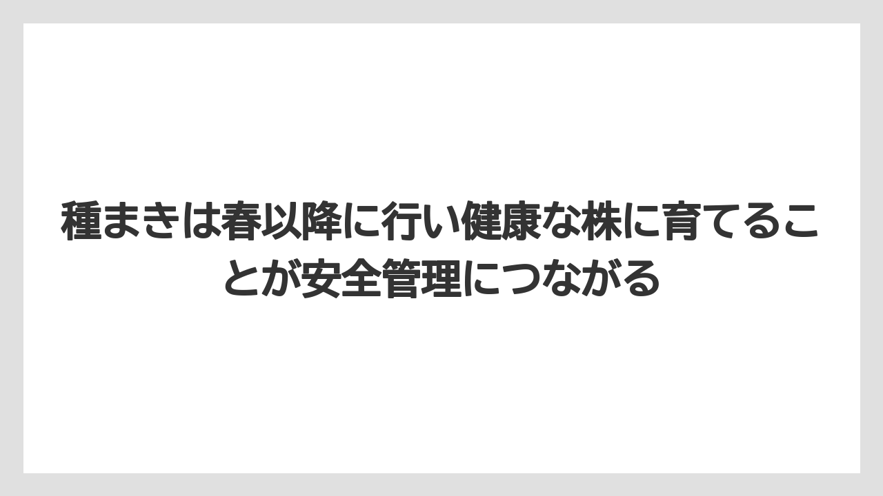 【栽培】【農園】【農業】種まきは春以降に行い健康な株に育てることが安全管理につながる