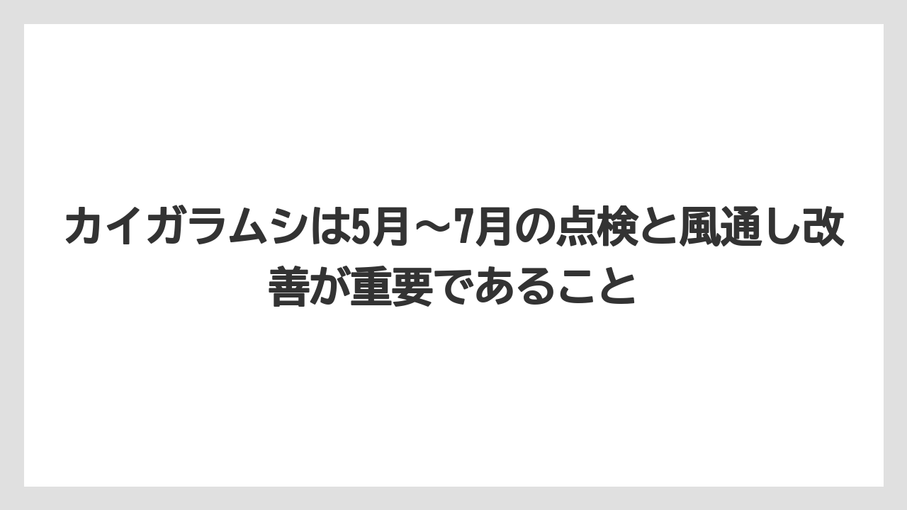 【ソヨゴ】【栽培】【農業】カイガラムシは5月〜7月の点検と風通し改善が重要であること