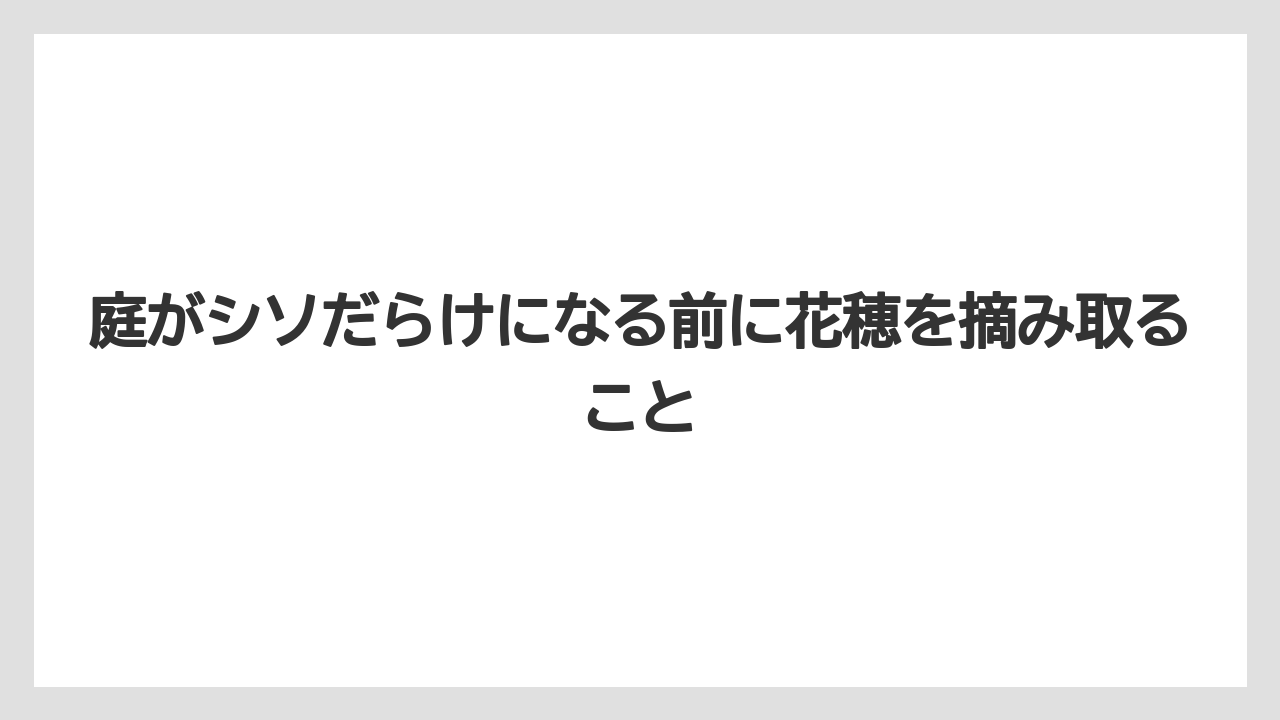 【いけない】【大葉】【庭】【栽培】【植え】庭がシソだらけになる前に花穂を摘み取ること