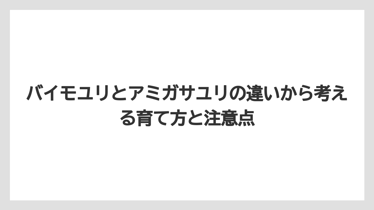 【栽培】【農園】【農業】フリチラリア・メレアグリスとは葉先と花色で見分けやすい