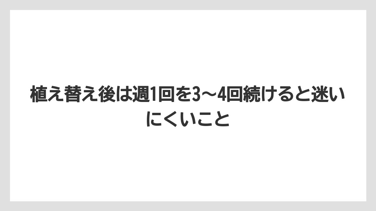【メネデール】【栽培】【農業】植え替え後は週1回を3〜4回続けると迷いにくいこと