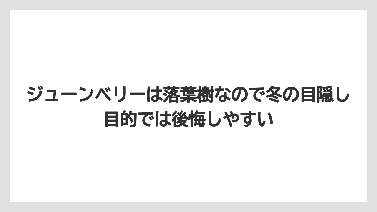 【庭】【後悔】【木】【栽培】ジューンベリーは落葉樹なので冬の目隠し目的では後悔しやすい