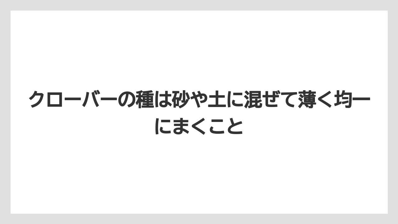 【栽培】【農園】【農業】クローバーの種は砂や土に混ぜて薄く均一にまくこと