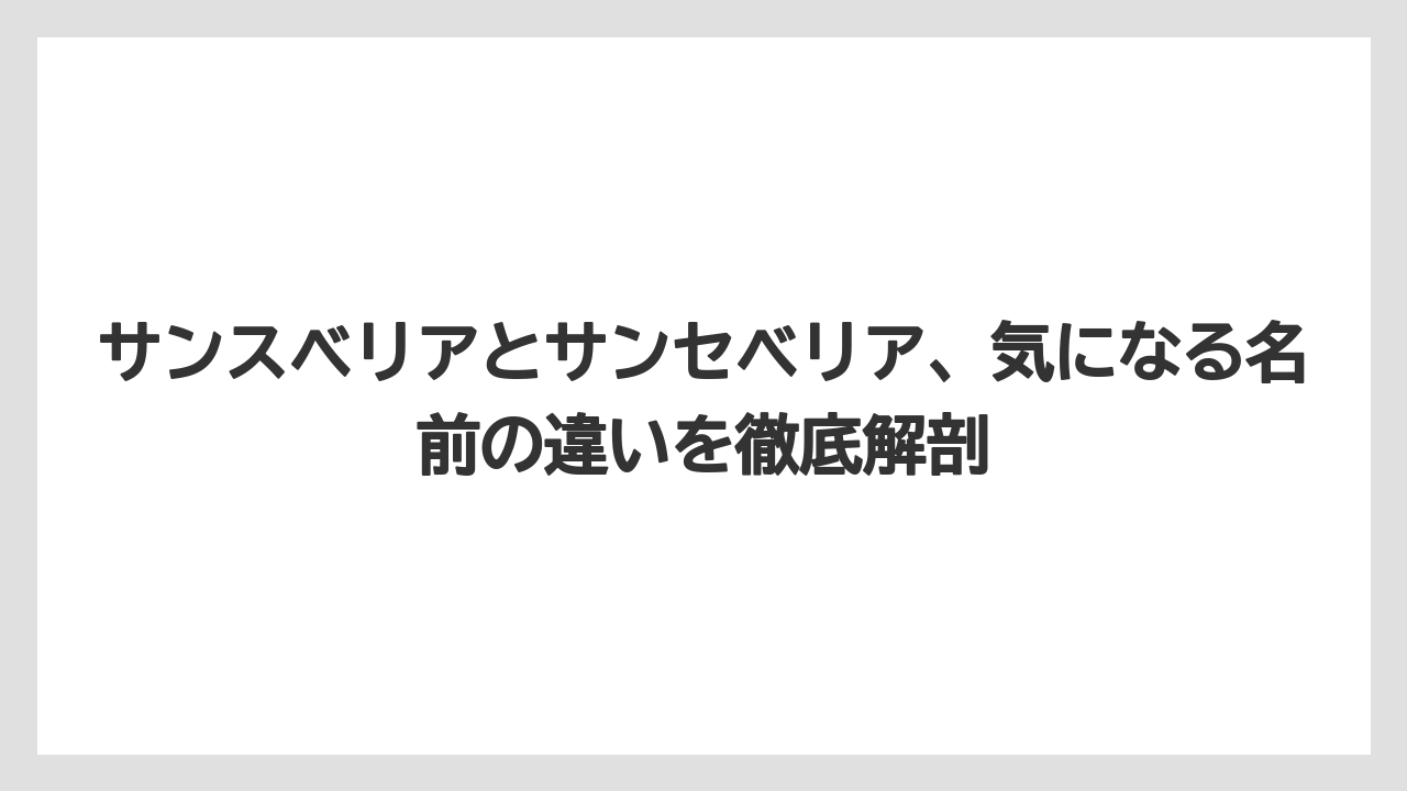 サンスベリアとサンセベリア、気になる名前の違いを徹底解剖