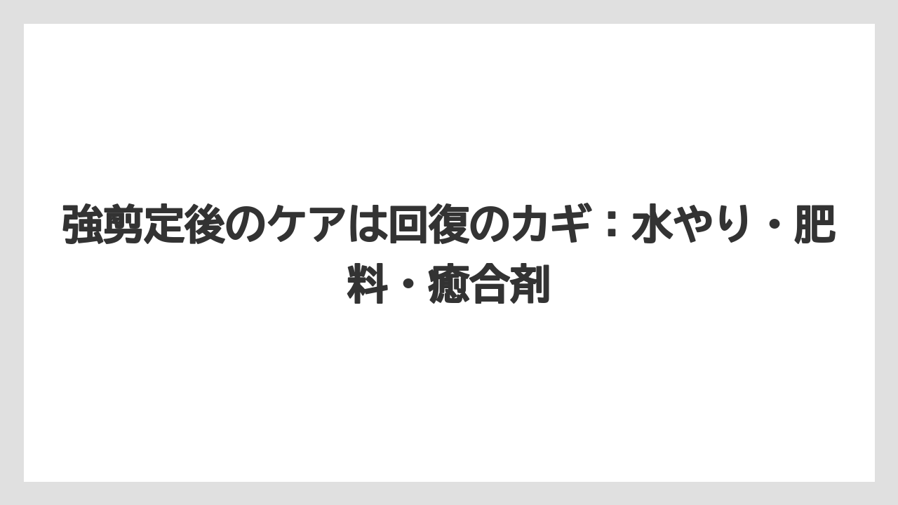 【栽培】【農園】【農業】強剪定後のケアは回復のカギ：水やり・肥料・癒合剤
