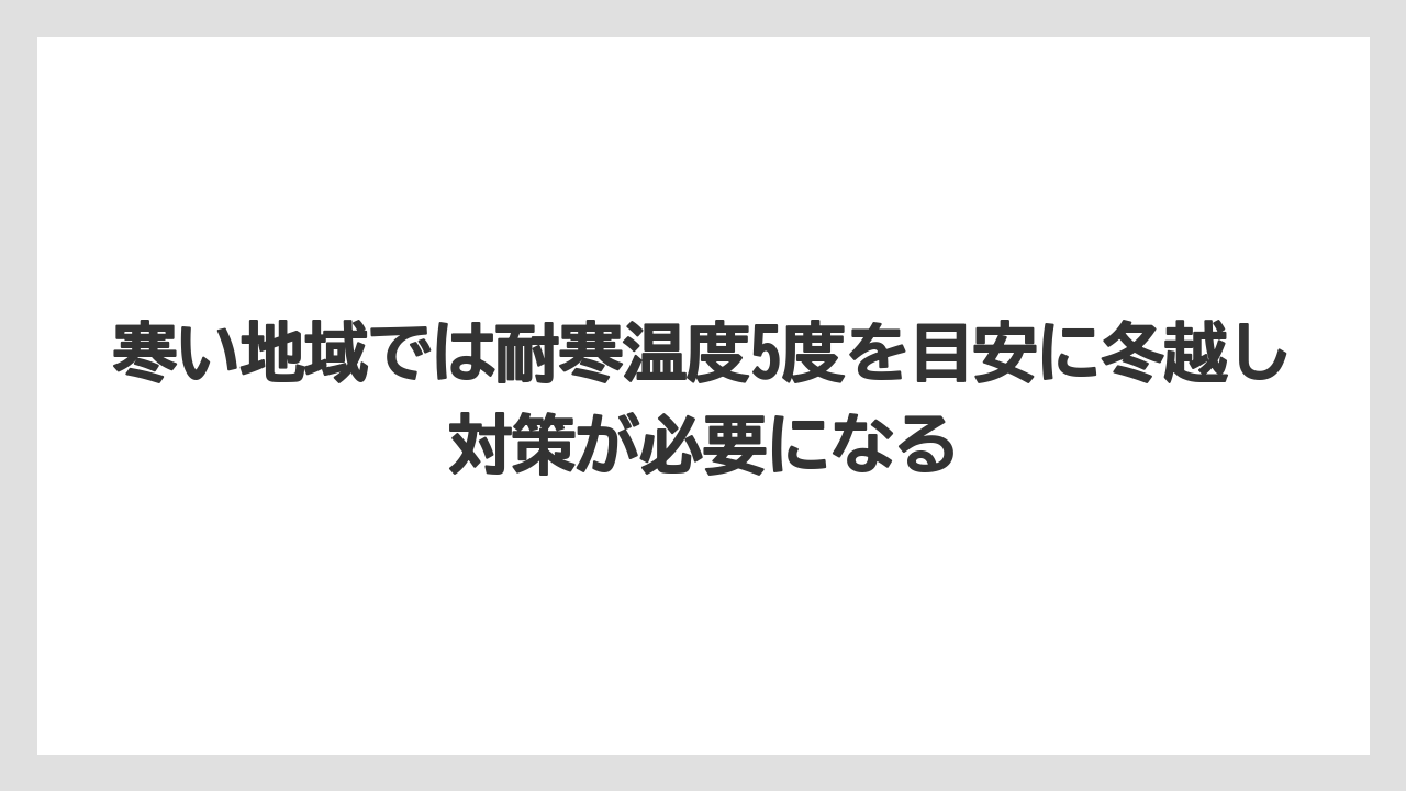 【デメリット】【庭】【栽培】【植え】【育て方】寒い地域では耐寒温度5度を目安に冬越し対策が必要になる