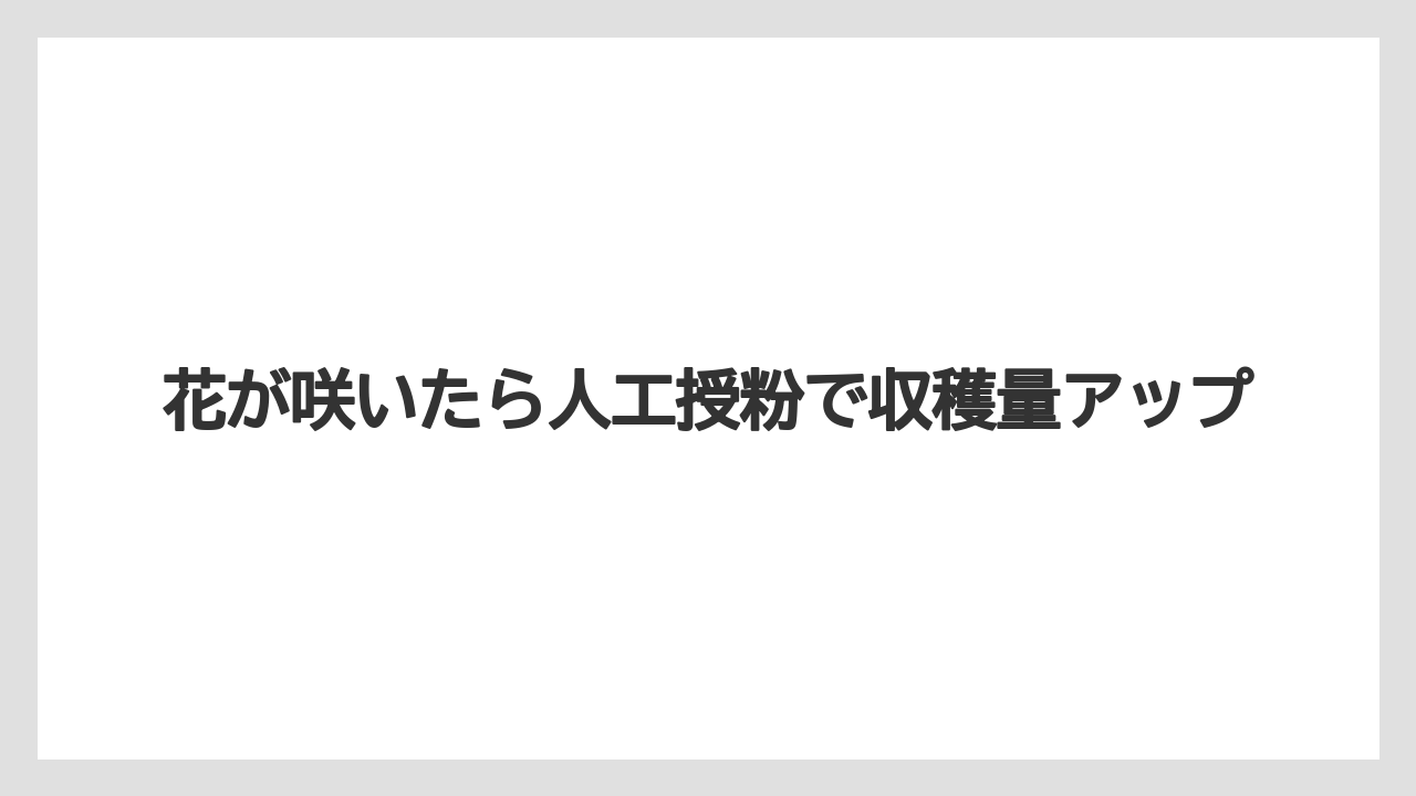 【栽培】【植え】【農業】花が咲いたら人工授粉で収穫量アップ