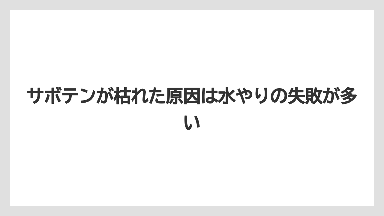 【サボテン】【枯れ】【栽培】サボテンが枯れた原因は水やりの失敗が多い