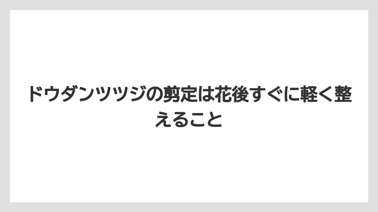 【栽培】【農園】【農業】ドウダンツツジの剪定は花後すぐに軽く整えること