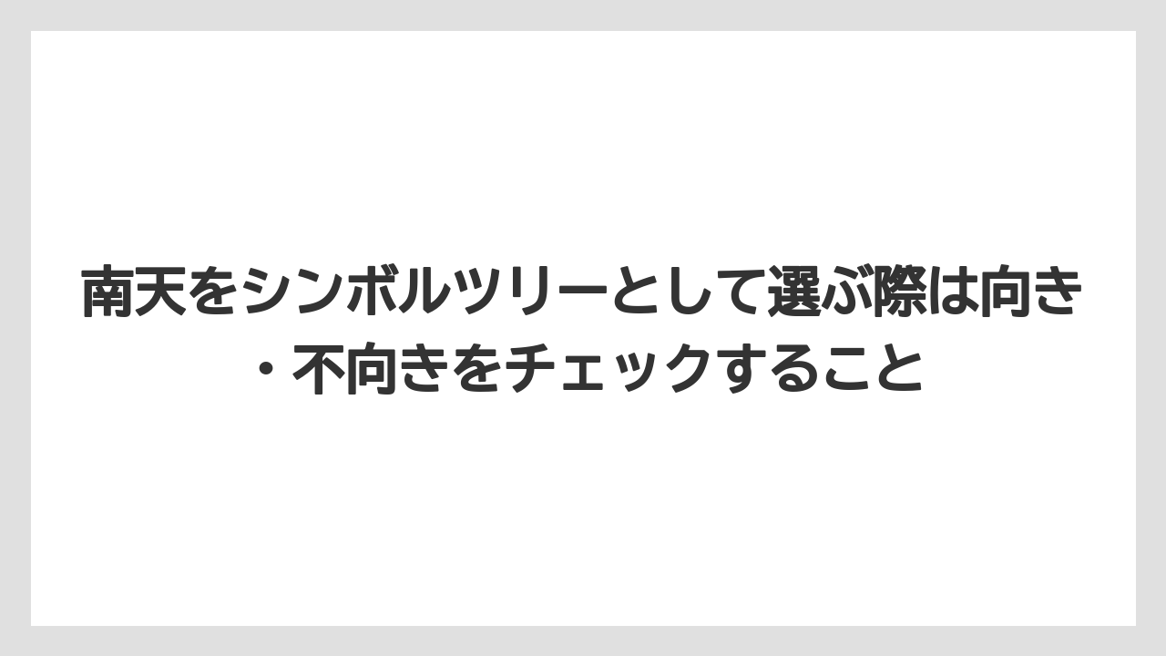 【栽培】【農園】【農業】南天をシンボルツリーとして選ぶ際は向き・不向きをチェックすること